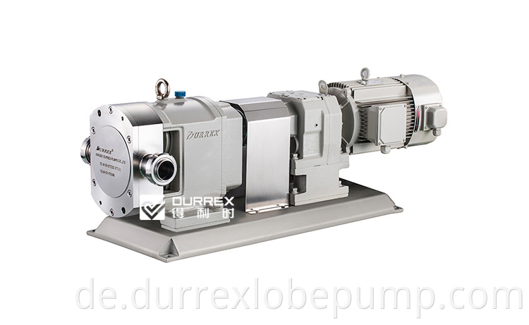 Rotary Lobe Pump